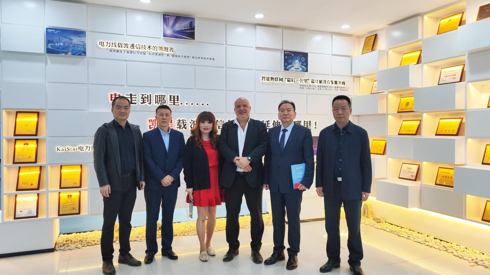 Duotem Capital Limited的創(chuàng)始人兼首席執(zhí)行官M(fèi)r.馬飛聶蒞臨凱星科技參觀(guān)交流